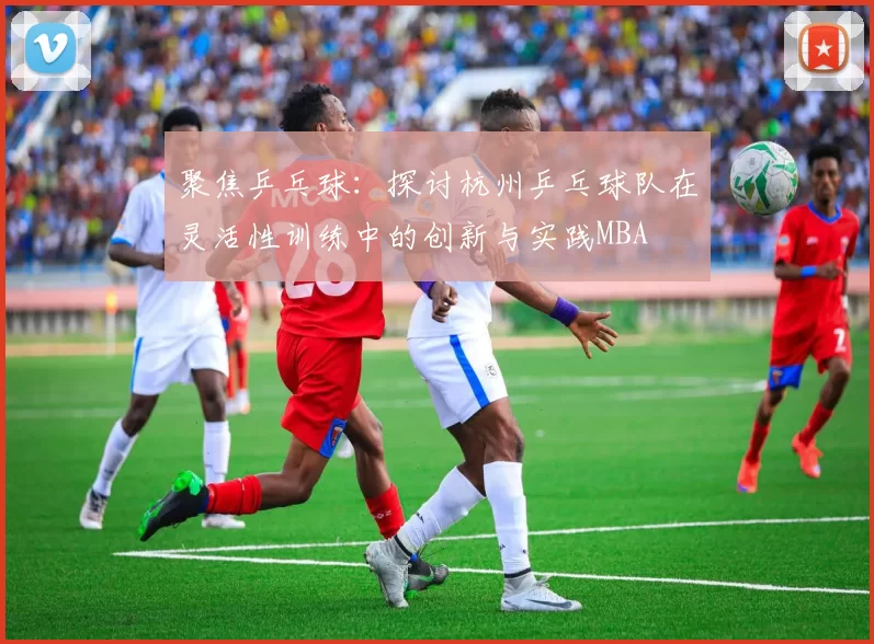 聚焦乒乓球：探讨杭州乒乓球队在灵活性训练中的创新与实践MBA