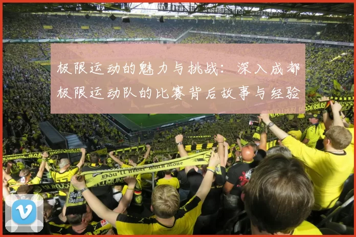 极限运动的魅力与挑战：深入成都极限运动队的比赛背后故事与经验分享MBA