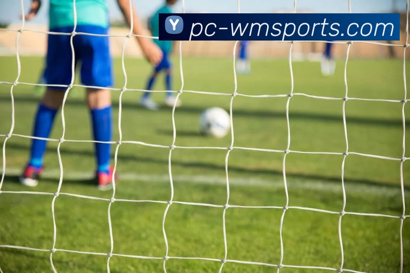 wm体育APP 高清赛事图