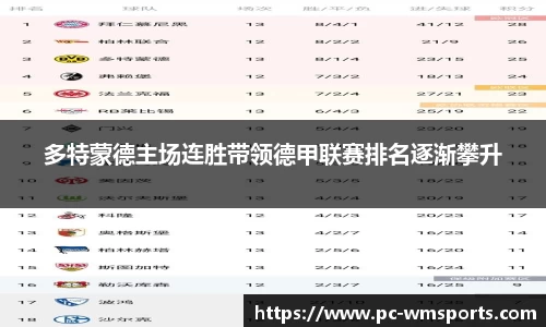 多特蒙德主场连胜带领德甲联赛排名逐渐攀升